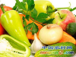 9月6日農(nóng)產(chǎn)品批發(fā)價(jià)格指數(shù)解析 市場(chǎng)動(dòng)態(tài)與趨勢(shì)展望