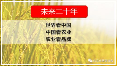 信宜這家農(nóng)業(yè)公司拿到4個(gè)商標(biāo)證 農(nóng)產(chǎn)品打造品牌的八步法